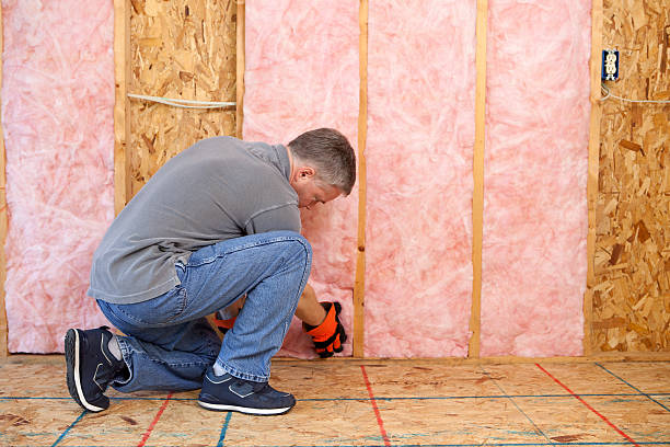 Best Basement Insulation  in South Park, WY